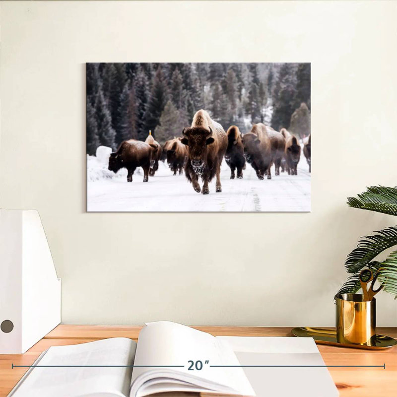 Bisons d'hiver, H 8 po x l 12 po