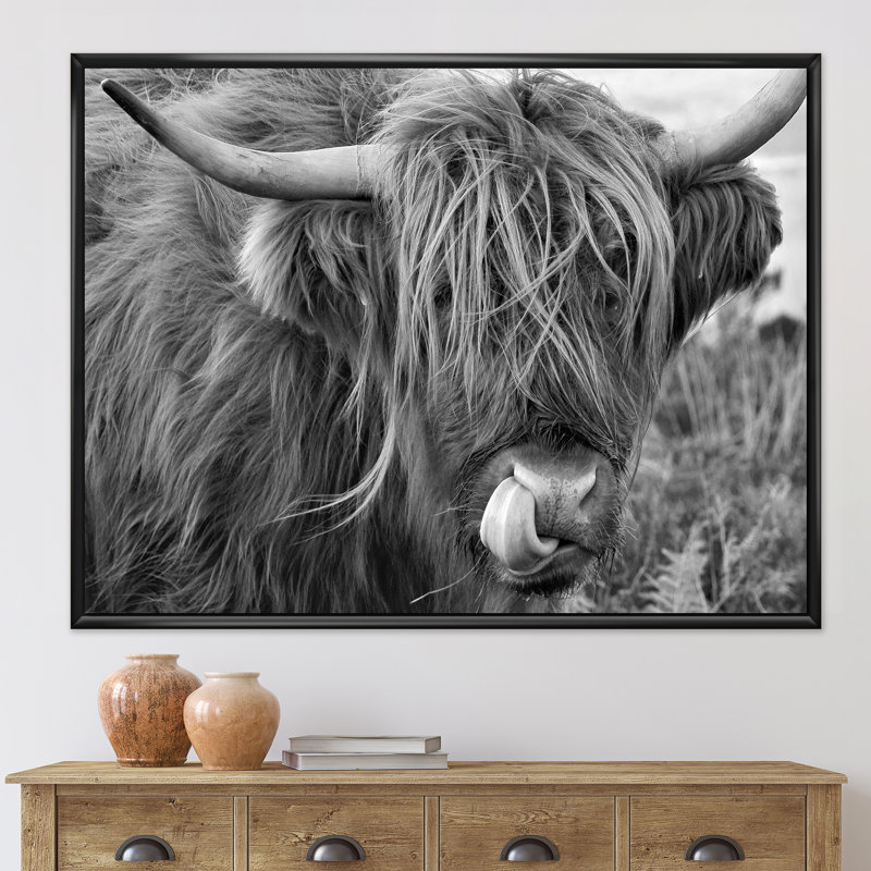 «Scottish Cow on Moorland II» - photographie sur toile, H 24 po x l 32 po x P 1 po, Cadre flottant noir