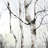 Three Birches Trees Outdoor Pillow | Brown Landscapes Decor