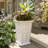 Siriana Self-Watering Resin Pot Planter -49415026