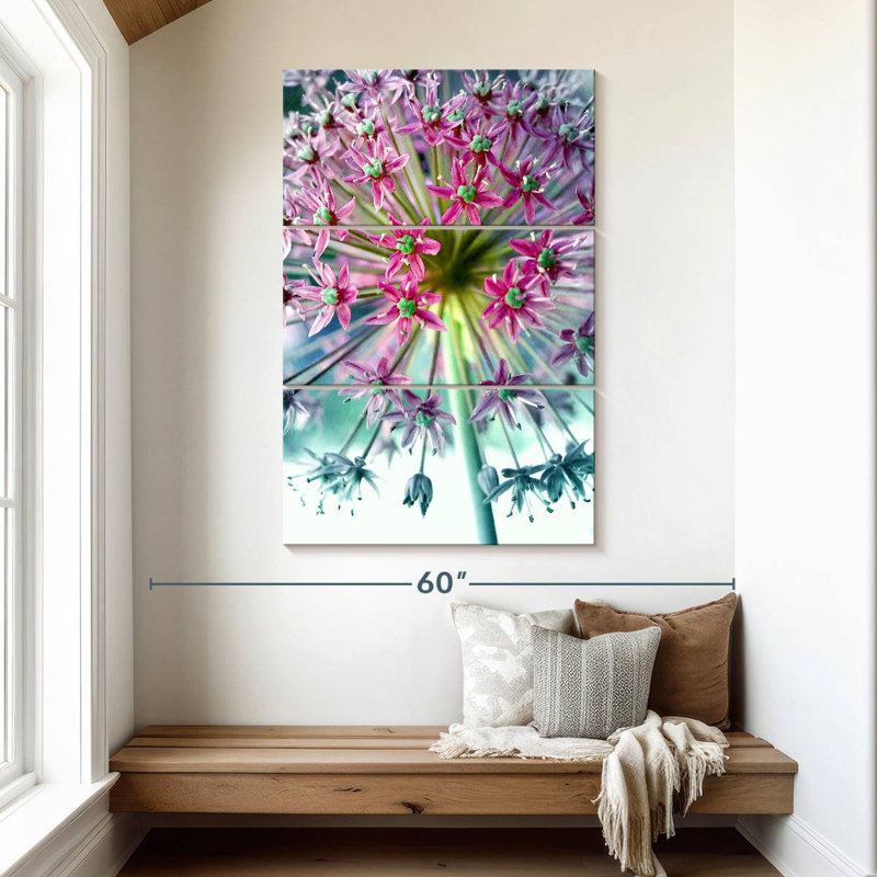 Allium rose turquoise