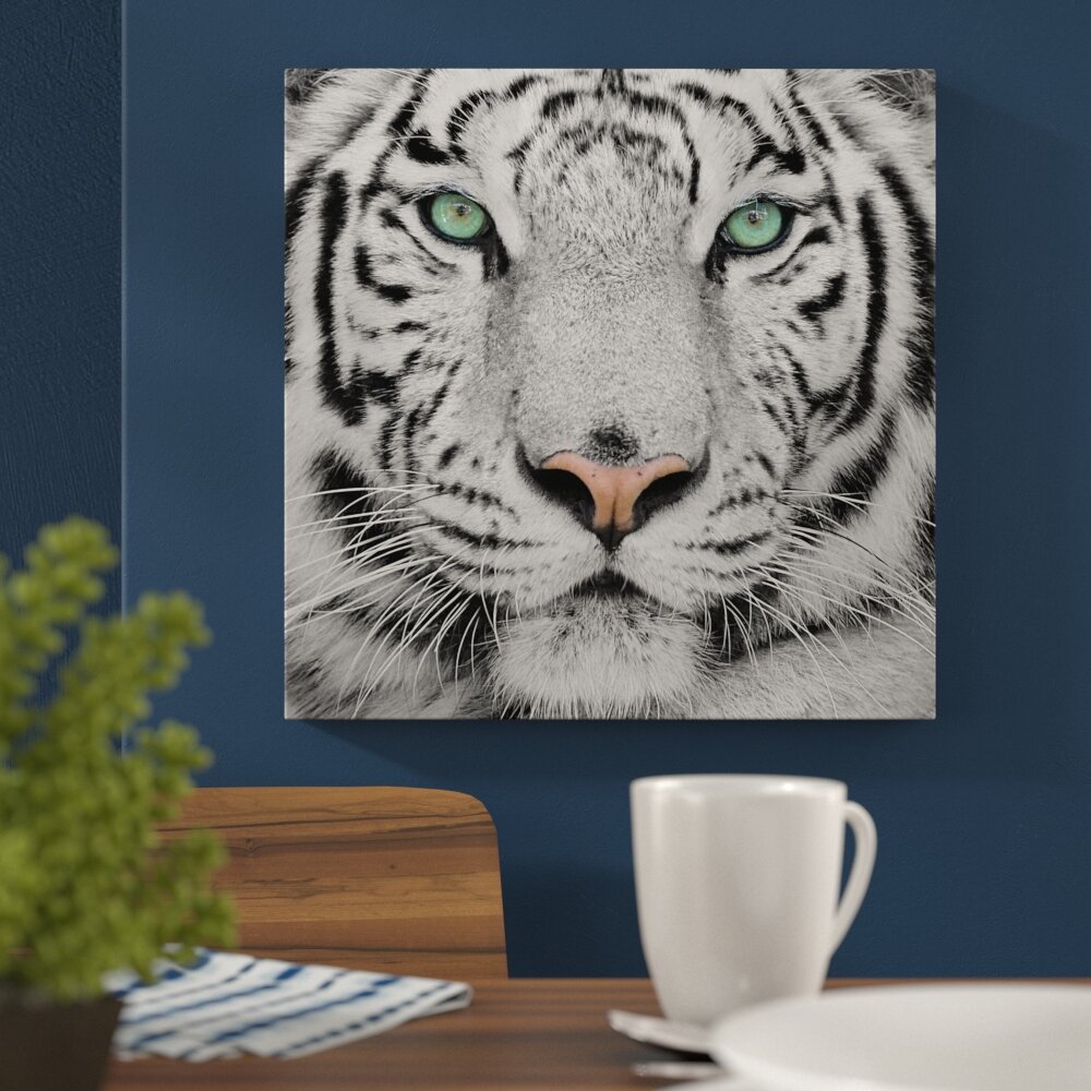 Leinwandbild White Tiger