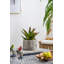 Tabouret d'appoint Shirehampton