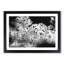 Birds On The Move Painting - Single Picture Frame Print on MDF-56633792-56633784
