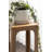 Dahl Mango Wood Square Tea Table-1402035519
