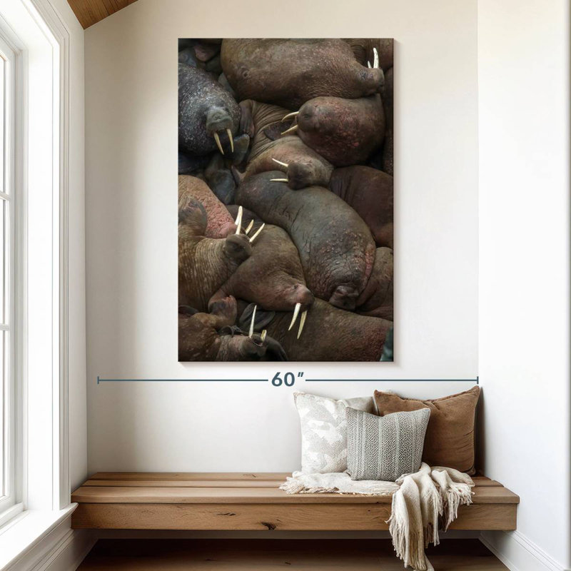 Brampt Walrus Rookery, 51" H x 34" W