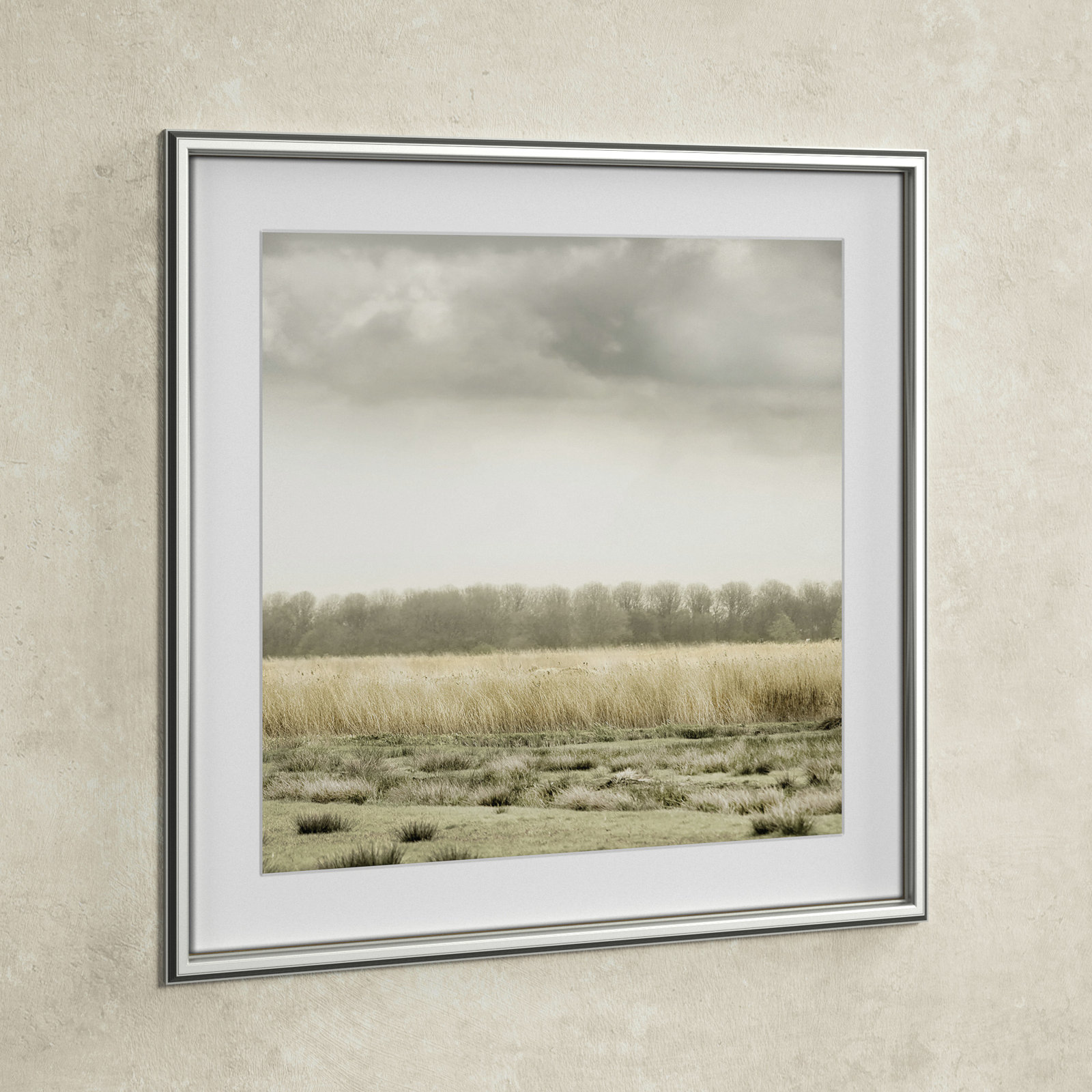 Henri "Meadowland" Print by Danita Delimont, 23.5" H x 23.5" W, Silver