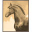 A Braided Mane Print by Sam Nash-1702735404