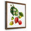 "Strawberry Study I", reproduction d’art encadrée-1620639819-1621515351-1620639816
