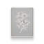 «Gray Botanical Set II» par Cindy Jacobs, reproduction d'art-689952124-689952125-689952102