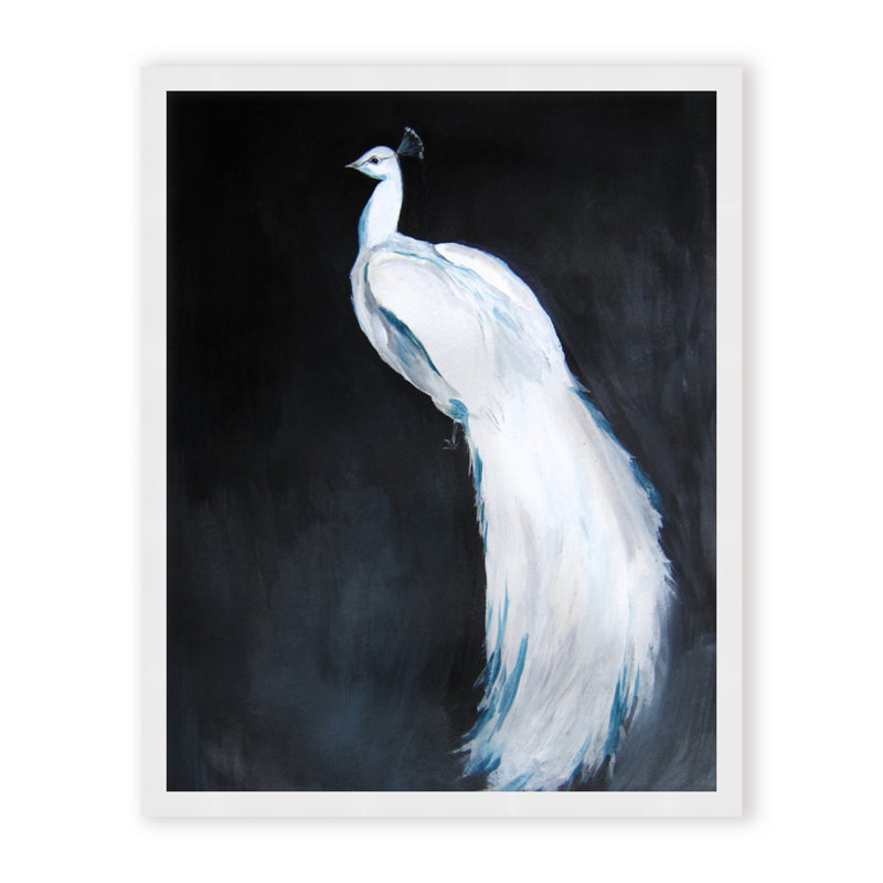 Nature Inspired Alabaster Majesty: White Peacock Against The Night, Framed Matted Print, 30" H x 24" W x 1.125" D, Black