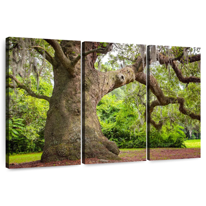 Harnek Live Oak Tree, 28" H x 45" W