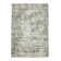 Livigno 1241 Transitional Striated Green Area Rug