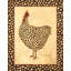 Poulet tacheté-1683709863