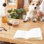 Table basse Burlywood-307188516
