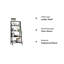 Aeden Ladder Bookcase-614858841