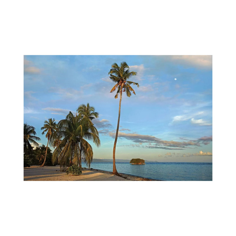 Coconut Palm Trees On Pamilacan Island, Philippines by Tim Fitzharris - Wrapped Canvas Print, 20.32 cm H x 30.48 cm W