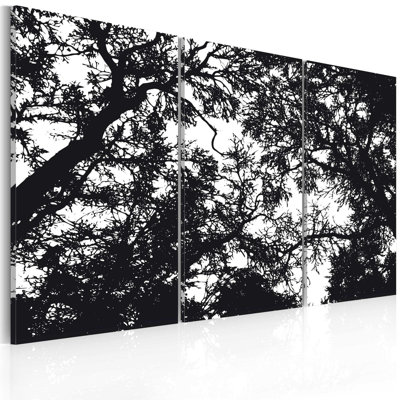 Forêt dense 3 pièces