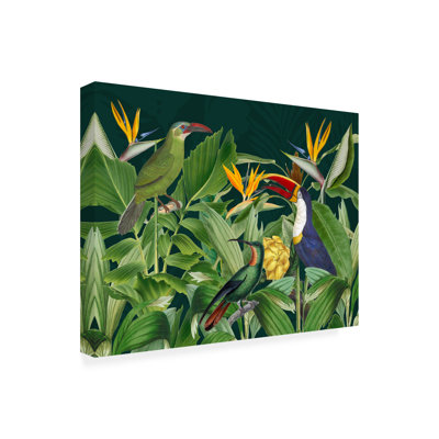 «Rainforest Birds On Canvas» par Andrea Haase, reproduction