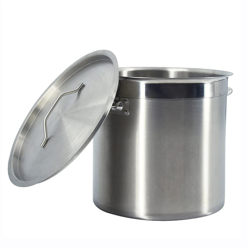 Belfry Kitchen Noel 17L Non-Stick Stainless Steel Stock Pot