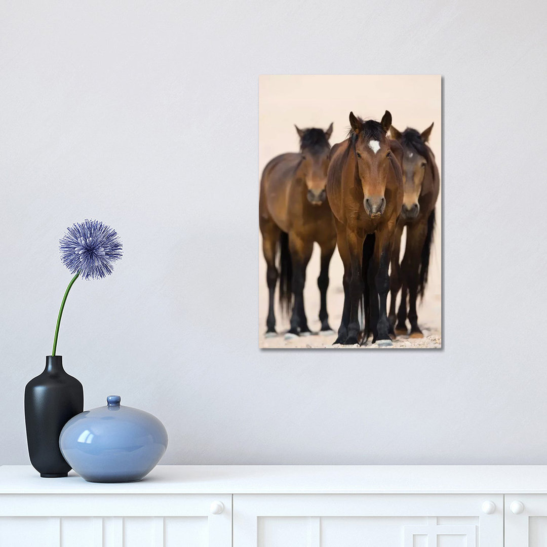 Namib Desert Horse Trio, Namib-Naukluft National Park, Namibia by Cyril Ruoso - Wrapped Canvas Print