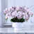 Mauve / Blanc