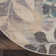 Leeming Floral Indoor Rug