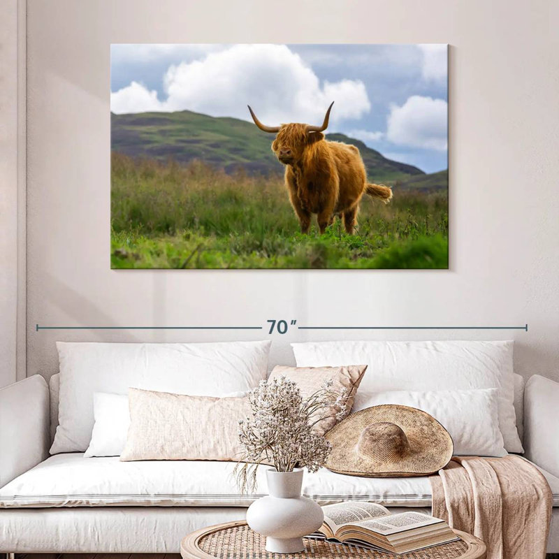 Vache écossaise Highland, H 32 po x l 48 po