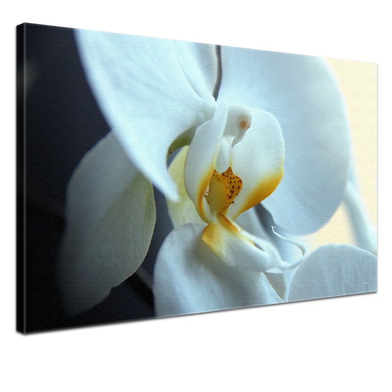 Print on Canvas, 100cm H x 150cm W x 2cm D