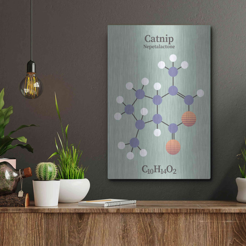 " Catnip Molecule 2 " by Maxim, 16" H x 12" W