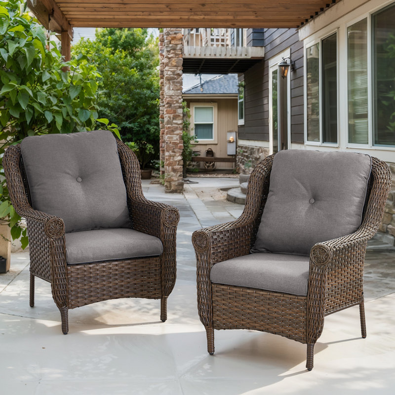 Ensemble de 2 chaises de patio en osier avec coussins en oléfine Habbe, Gris