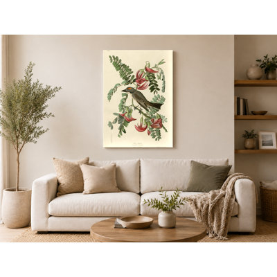 Gray Tyrant, Plate CLXX (1827–1838) — Portrait Canvas Wall Art