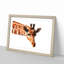 Geometric Giraffe in Abstract - Framed Print-55727025-55727028
