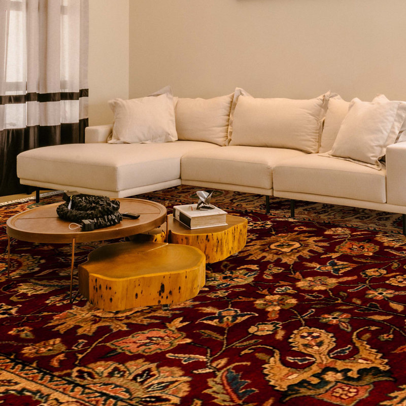 Sona Oriental Area Rug