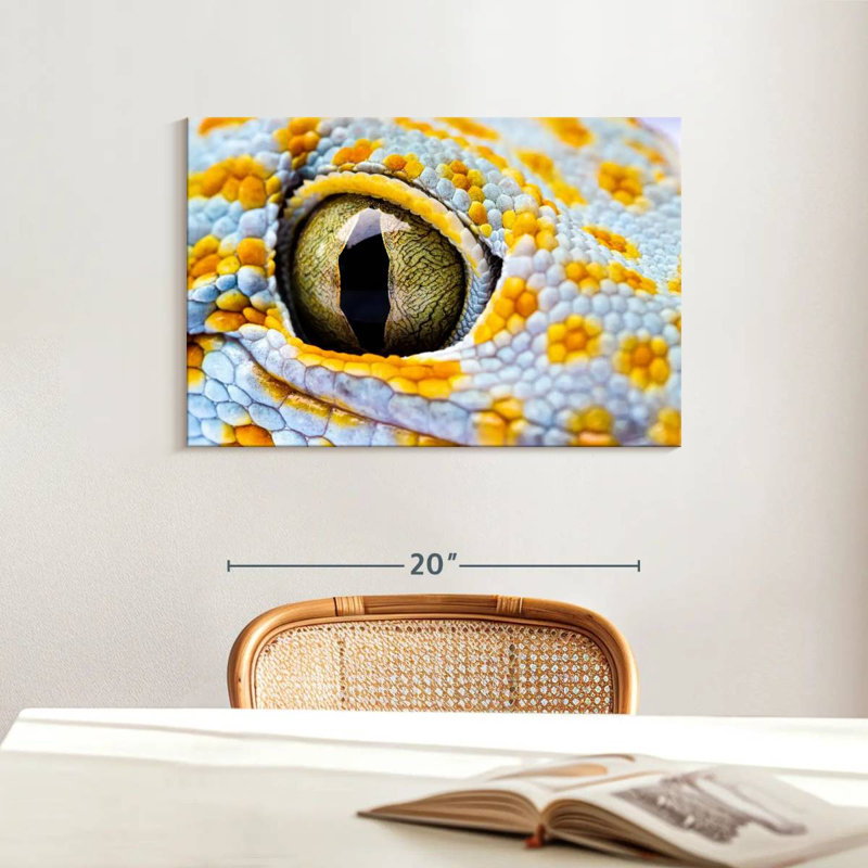 Brampt Gecko Eye, 16" H x 24" W