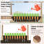 Wood Planter Box-1031468414