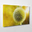 Wrapped Canvas Print-19042760
