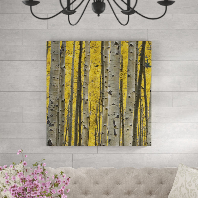 «Aspen Trees III» par Jamie Cook - impression d'art graphique, H 40 po x l 40 po, Extérieur