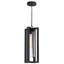 Luminaire suspendu d'extérieur 1 lumière H 22,3 po avec abat-jour en verre nervuré