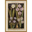Botanicals Giclee Print by Soicher Marin Archives