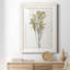 Farmhouse Pressed Flower II - peinture encadrée-1572627888-1572627889