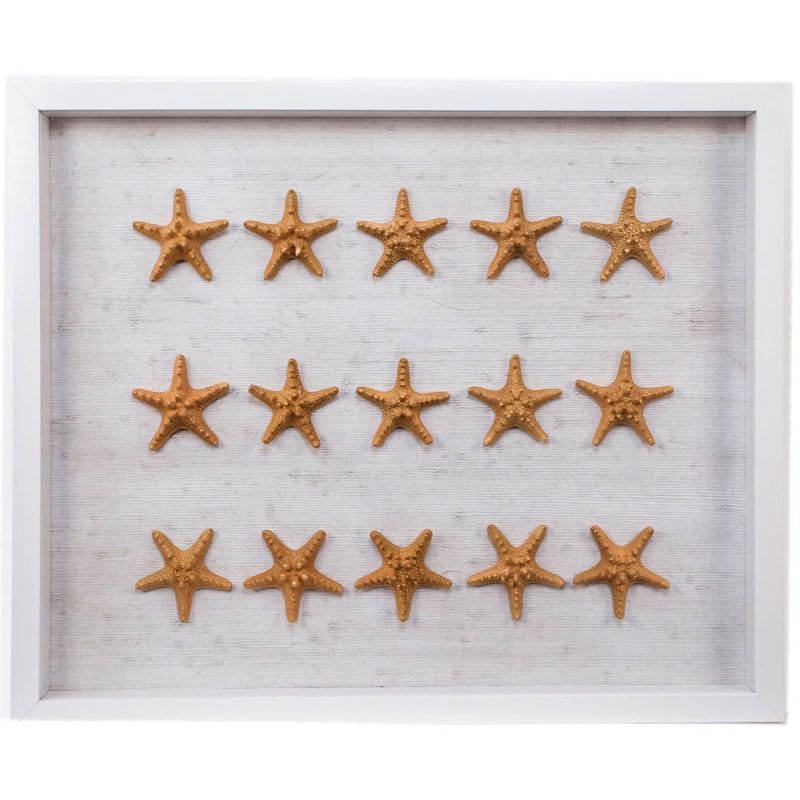 Sealife Print