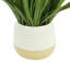 Fausse herbe Weatherhill en pot de fibres