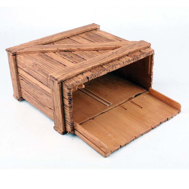 Tarantula Planète Creepy Crate S.T.E.M. Jeu