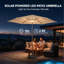9ft. Solar Powered Outdoor Patio Umbrella with LED Lights, Polyester Canopy-744451068