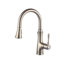 Allora USA Pull Out Kitchen Faucet