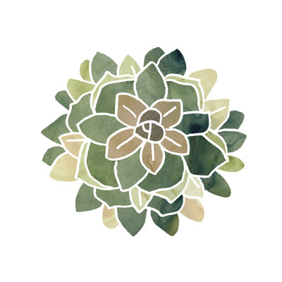" Succulent Cameo VI "
