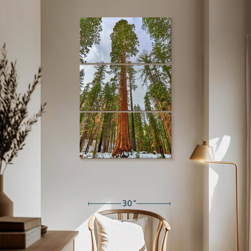 Giant Sequoia Grove, 65" H x 42" W