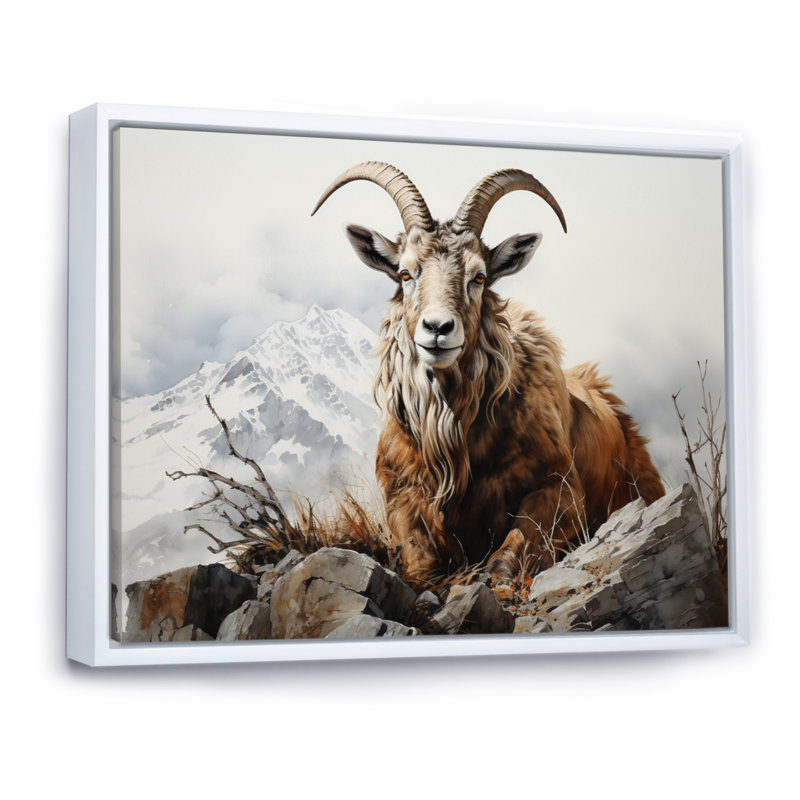 Goat Mountain Majesty sur impression sur toile, H 30 po x l 40 po x P 1,5 po, Cadre flottant blanc