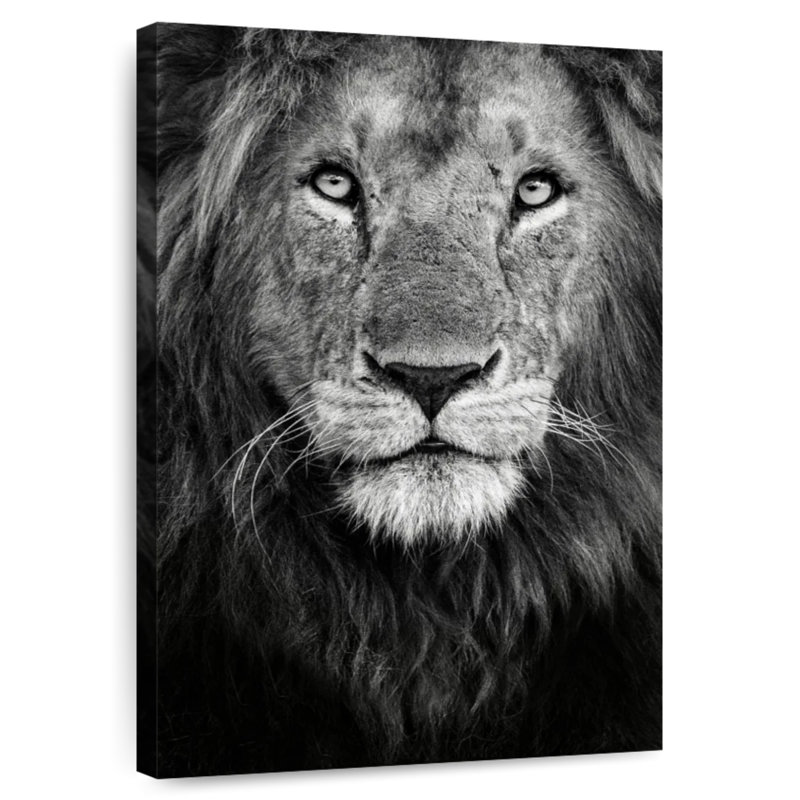 Portrait de lion royal Brampt, H 30 po x l 20 po